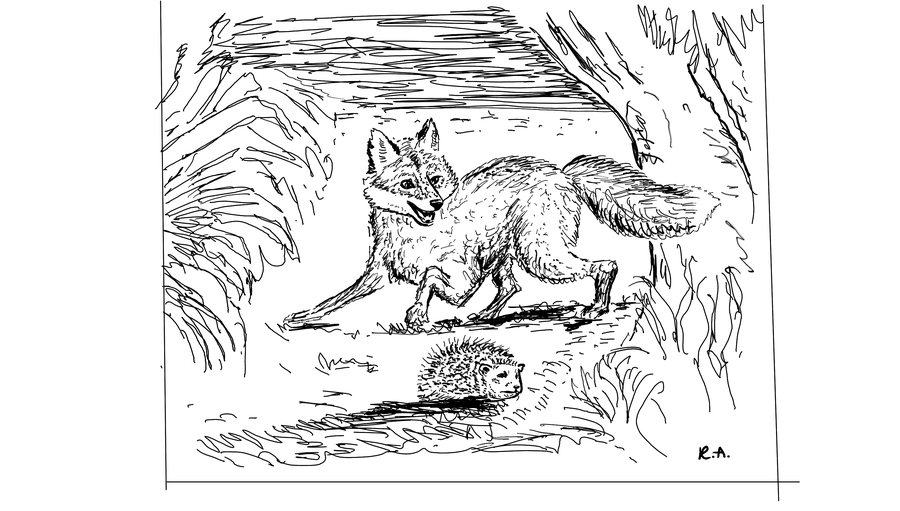 Hand-drawn sketch of a fox